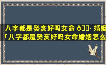 八字都是癸亥好吗女命 🌷 婚姻「八字都是癸亥好吗女命婚姻怎么样」